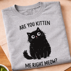 Are You Kitten Me Right Meow T-Shirt