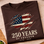 250 Years Of Freedom USA T-Shirt