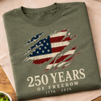 250 Years Of Freedom USA T-Shirt